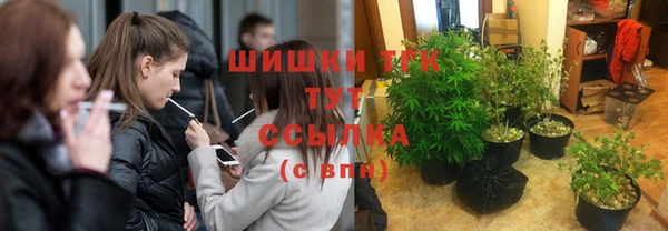 экстази Няндома