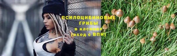 экстази Няндома