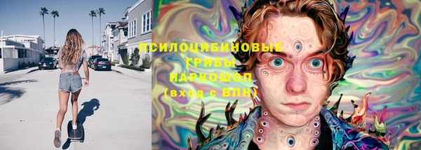 экстази Няндома
