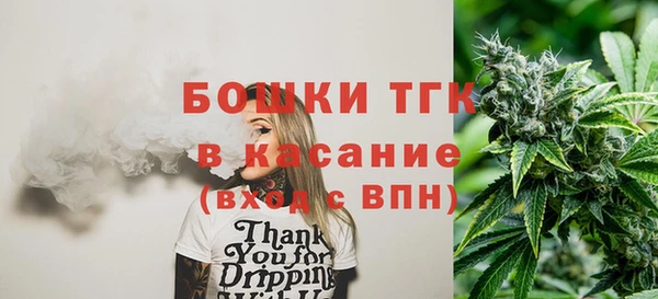 экстази Няндома